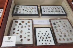 29366062_1624995870887976_1647003229394829312_n